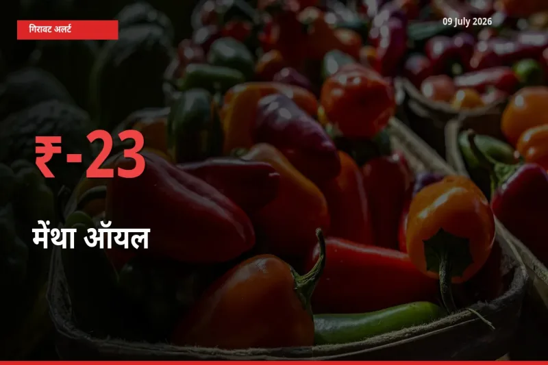 बाज़ार संकेत: मेंथा ऑयल के भाव मंडी में 23.41% नीचे