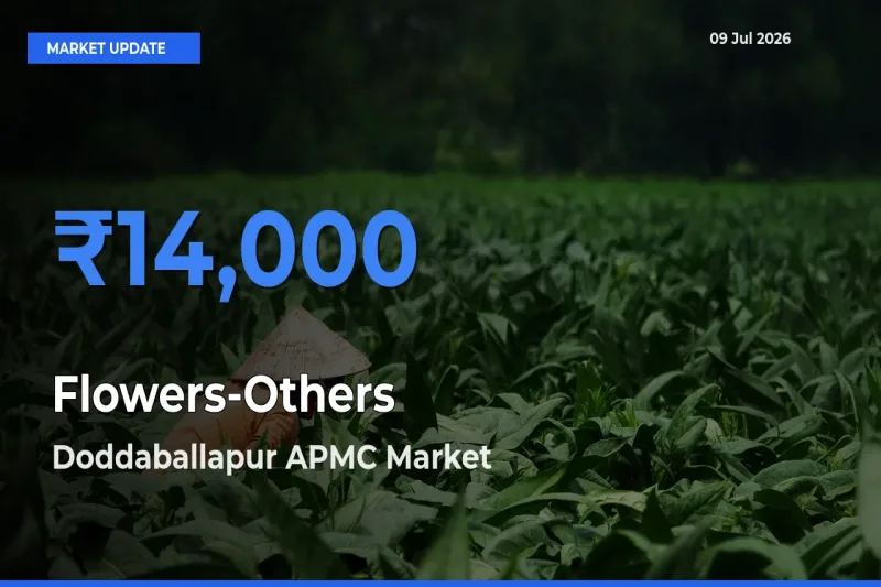 Market Watch: Doddaballapur APMC Becomes Top Mandi for Flowers-Others