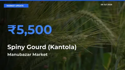 Manubazar Tops Spiny Gourd (Kantola) Rates – July 09 Market Update