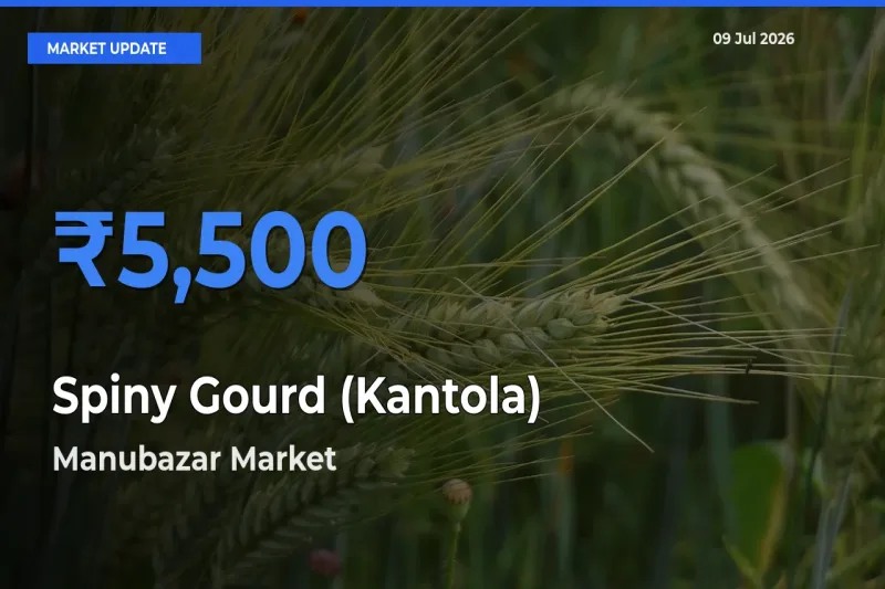 Manubazar Tops Spiny Gourd (Kantola) Rates – July 09 Market Update