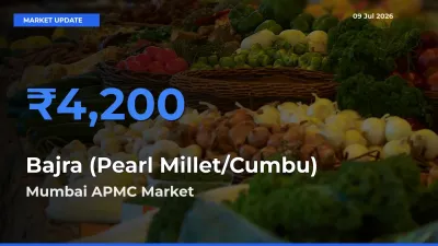 Mumbai APMC Tops Bajra (Pearl Millet/Cumbu) Mandi Rates Today