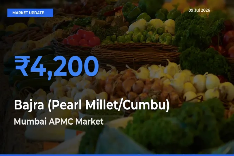 Mumbai APMC Tops Bajra (Pearl Millet/Cumbu) Mandi Rates Today