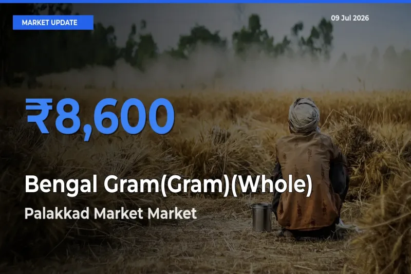 Palakkad Market Records Highest ₹8,600 Rate for Bengal Gram(Gram)(Whole)