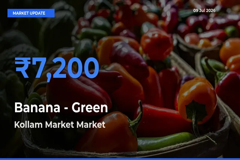 Top Performer! Kollam Market Offers Best Banana - Green Price Today