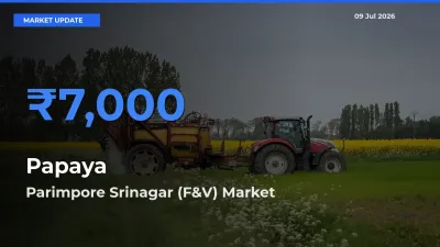Parimpore Srinagar (F&V) Emerges as Top Mandi for Papaya Prices Today