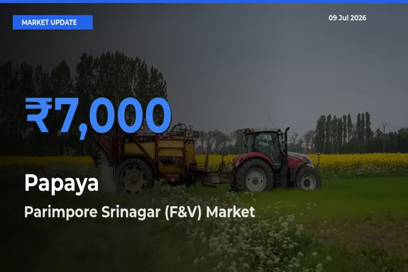 Parimpore Srinagar (F&V) Emerges as Top Mandi for Papaya Prices Today