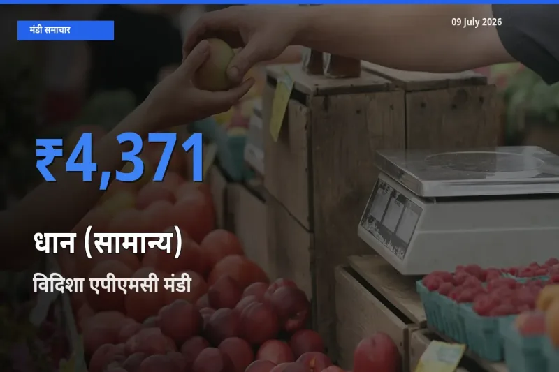 09 July अपडेट: धान (सामान्य) के सबसे ऊँचे दाम विदिशा एपीएमसी मंडी में