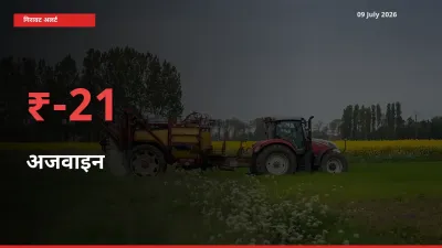 आज का मंडी भाव: अजवाइन के दाम मंडी में 20.87% नीचे