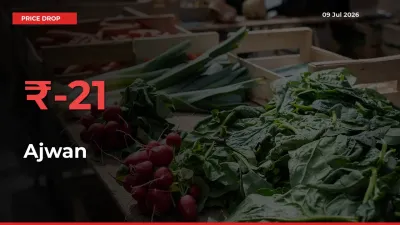 Sharp Fall! Ajwan Prices Plunge 20.87% in a Day at Key Mandis