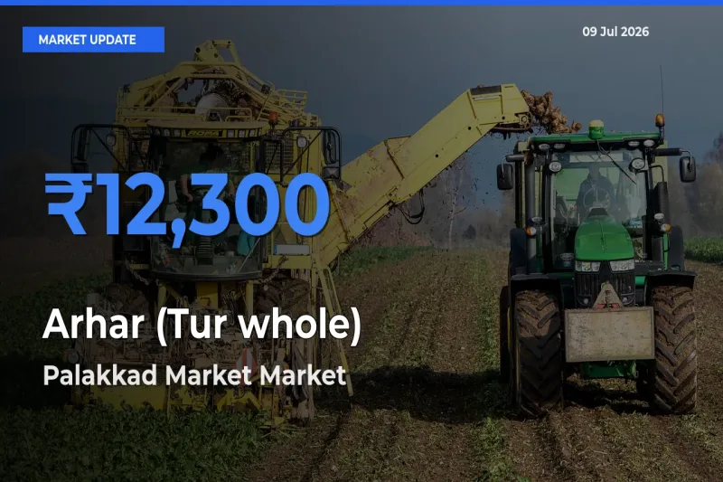 Arhar (Tur whole) Mandi Rate Today: Palakkad Market Tops the List
