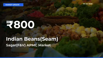 Indian Beans(Seam) Hits 30-Day Low in Sagar(F&V) APMC