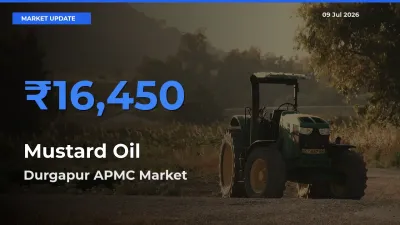 Durgapur APMC Emerges as Top Mandi for Mustard Oil Prices Today