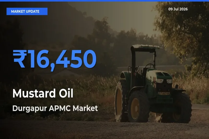 Durgapur APMC Emerges as Top Mandi for Mustard Oil Prices Today