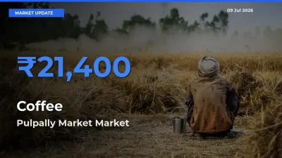 Pulpally Market Tops Coffee Mandi Rates Today