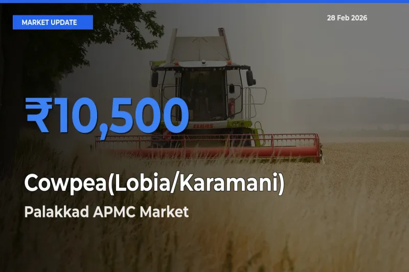 Palakkad APMC Tops Cowpea(Lobia/Karamani) Mandi Rates Today