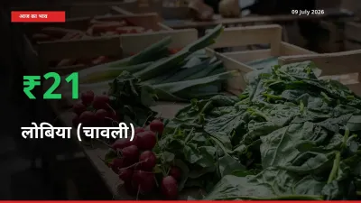 अचानक तेजी! मंडी में लोबिया (चावली) के दाम 21.21% चढ़े