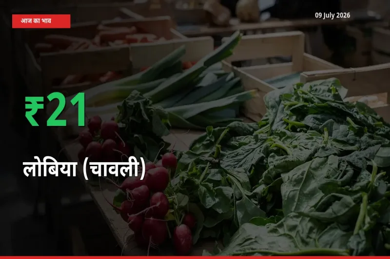अचानक तेजी! मंडी में लोबिया (चावली) के दाम 21.21% चढ़े