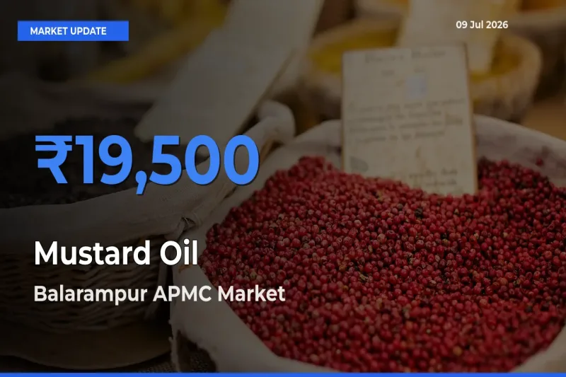 Top Performer! Balarampur APMC Offers Best Mustard Oil Price Today