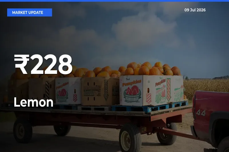 Lemon Shows Strong Mandi Trend – July 09 Market Update
