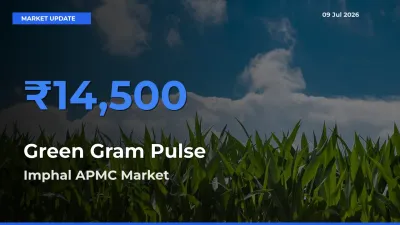 Imphal APMC Tops Green Gram Pulse Mandi Rates Today