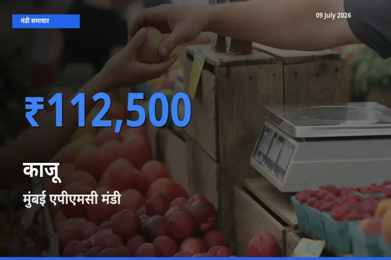 मुंबई एपीएमसी मंडी में काजू ₹112,500 पर पहुँचा – आज का सर्वोच्च भाव