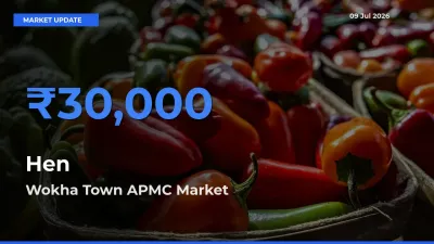Wokha Town APMC Records Highest ₹30,000 Rate for Hen