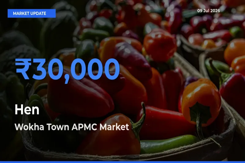 Wokha Town APMC Records Highest ₹30,000 Rate for Hen