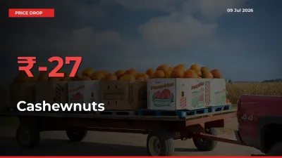 Cashewnuts Prices Drop 27.48% – July 09 Market Update from Mandis