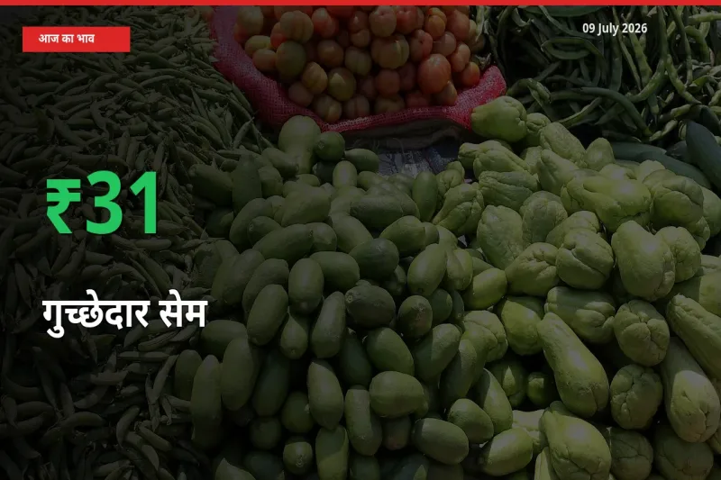 स्थानीय मंडी में गुच्छेदार सेम के दाम अचानक 30.81% उछले, किसान सतर्क