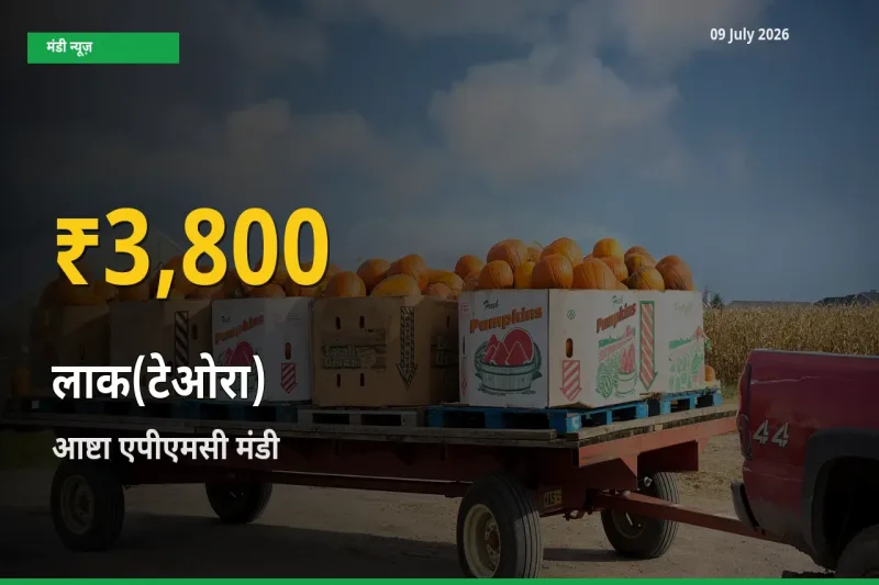 आष्टा एपीएमसी में लाक(टेओरा) ₹3,800 पर पहुँचा – अब तक का उच्चतम भाव