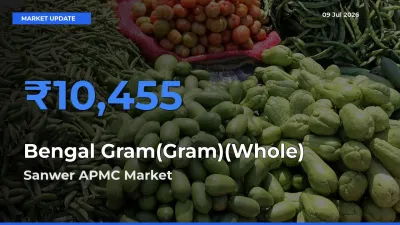 Bengal Gram(Gram)(Whole) Mandi Rate Today: Sanwer APMC Tops the List