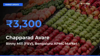 Chapparad Avare Mandi Rate Today: Binny Mill (F&V), Bengaluru APMC Tops the List