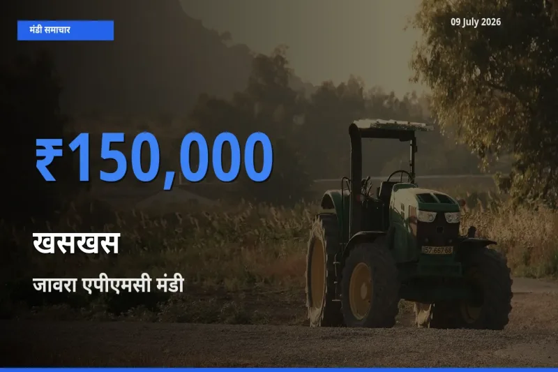 किसानों की पसंद बना जावरा एपीएमसी, खसखस के सबसे अच्छे दाम
