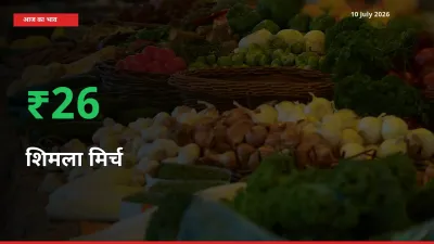किसानों के लिए खुशखबरी! स्थानीय मंडी में शिमला मिर्च 25.6% उछला