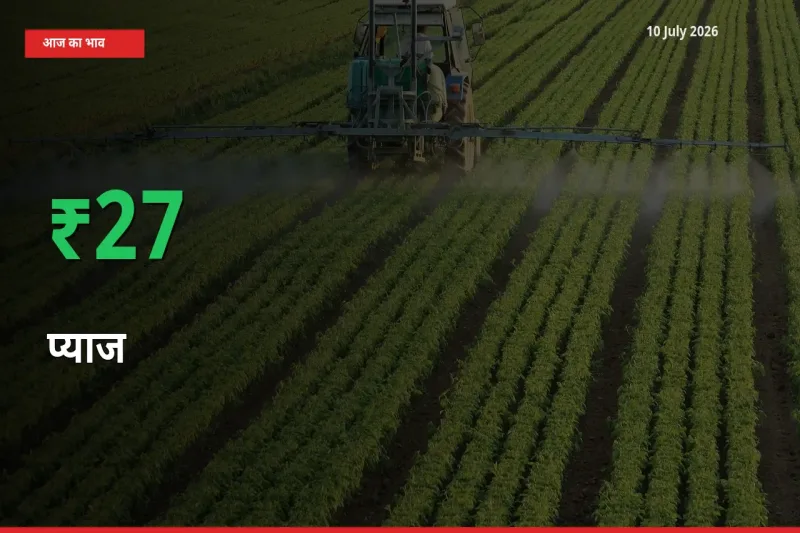 प्याज 27.32% उछला, मंडी