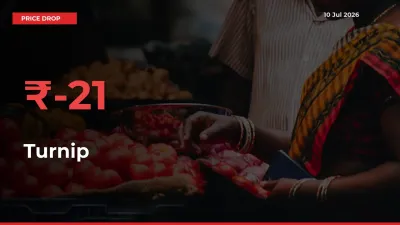 Farmers Alert as Turnip Prices Slide 21.31% in Local Mandis