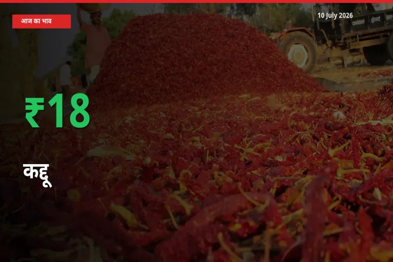 कद्दू 18.22% उछला, मंडी