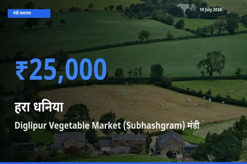 किसानों की पसंद बना Diglipur Vegetable Market (Subhashgram), हरा धनिया के सबसे अच्छे दाम