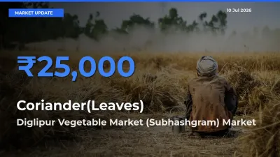 Top Performer! Diglipur Vegetable Market (Subhashgram) Offers Best Coriander(Leaves) Price Today