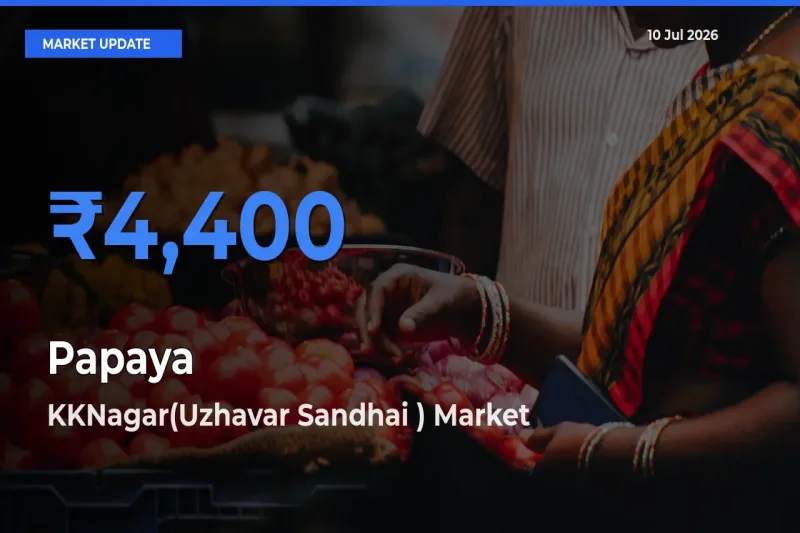 Market Watch: KKNagar(Uzhavar Sandhai ) Becomes Top Mandi for Papaya