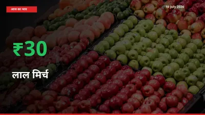 किसानों के लिए खुशखबरी! स्थानीय मंडी में लाल मिर्च 30.32% उछला