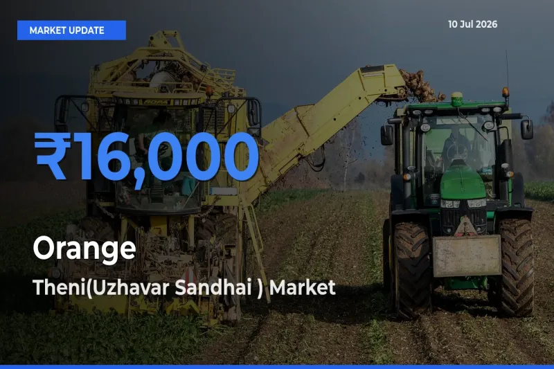 Theni(Uzhavar Sandhai ) Tops Orange Rates – July 10 Market Update