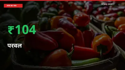 अचानक तेजी! मंडी में परवल के दाम 103.66% चढ़े