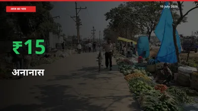 अचानक तेजी! मंडी में अनानास के दाम 15.39% चढ़े