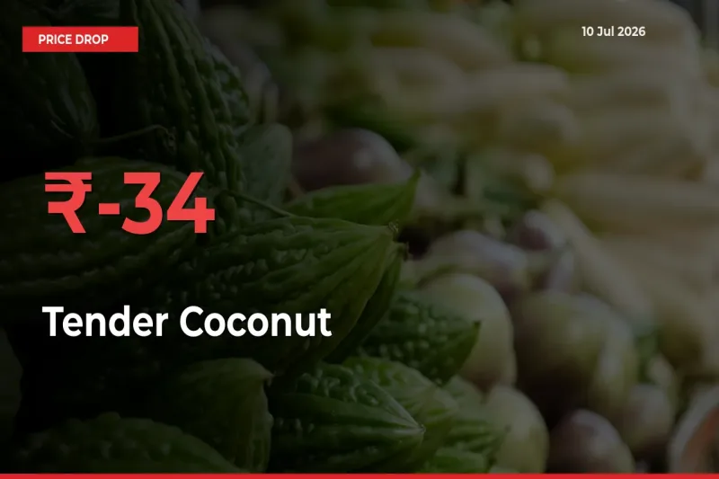 Farmers Alert as Tender Coconut Prices Slide 34.32% in Local Mandis