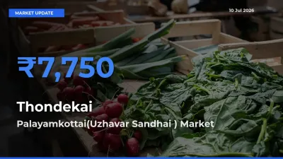 Palayamkottai(Uzhavar Sandhai ) Tops Thondekai Mandi Rates Today