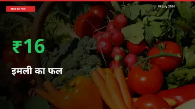 किसानों के लिए खुशखबरी! स्थानीय मंडी में इमली का फल 16.22% उछला