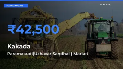 Paramakudi(Uzhavar Sandhai ) Tops Kakada Rates – July 10 Market Update