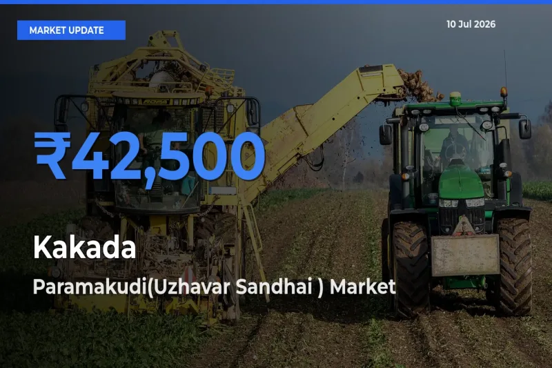 Paramakudi(Uzhavar Sandhai ) Tops Kakada Rates – July 10 Market Update