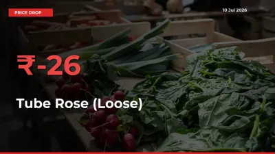 Why Tube Rose (Loose) Prices Fell 25.57% in a Day at Mandis